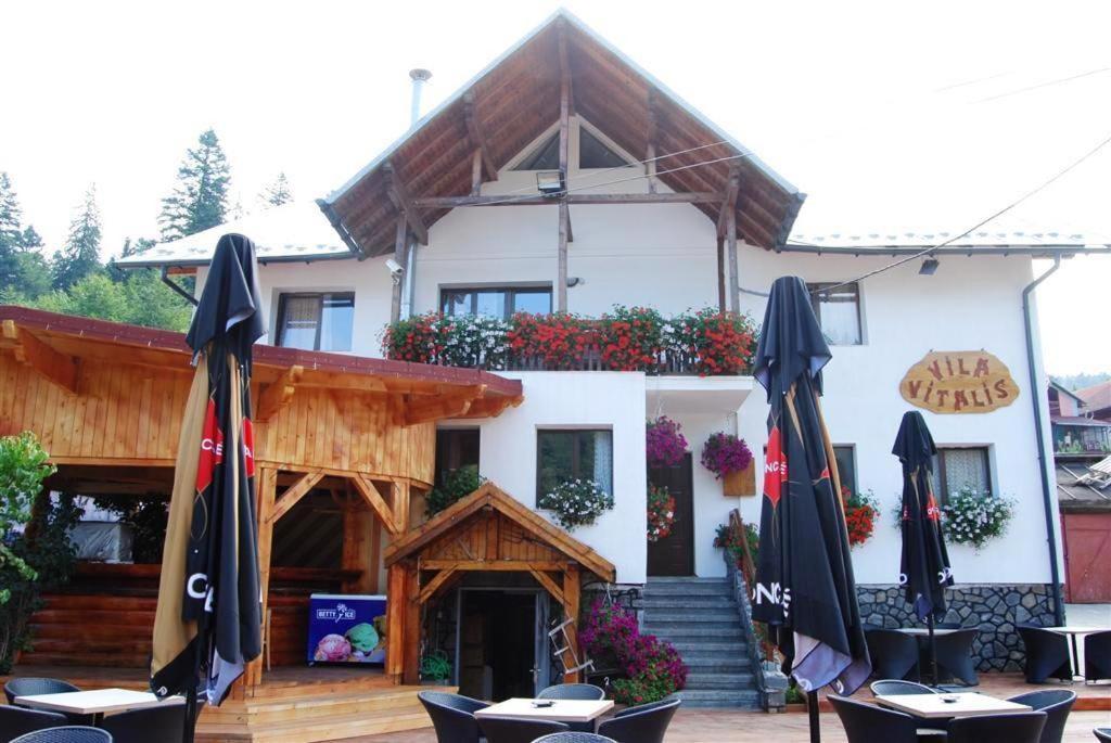 Vila Vitalis Predeal Zewnętrze zdjęcie
